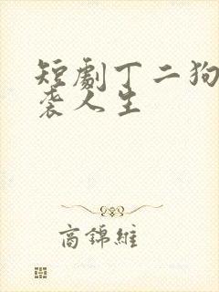 短剧丁二狗的逆袭人生