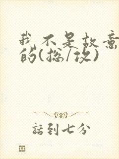 我不是故意出轨的(总/攻)封面