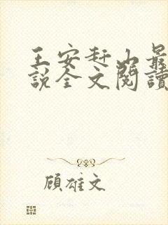 王安赶山最新小说全文阅读