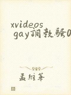 xvideos gay调教骚0