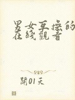 男女互操的视频在线观看