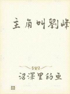 主角叫刘峰小说封面