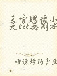 天官赐福小说全文txt无删减下载封面