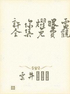 许你耀眼电视剧全集免费观看高清