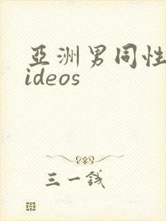 亚洲男同性恋videos