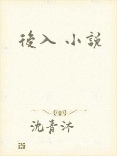 后入 小说