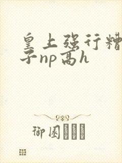 皇上强行糟蹋太子np高h