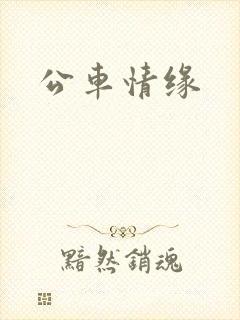 公车情缘