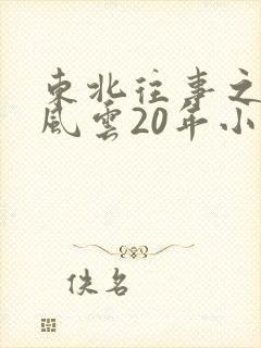 东北往事之黑道风云20年小说