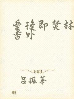 爱后即焚林啸也番外