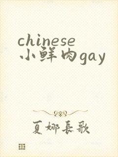 chinese小鲜肉gay