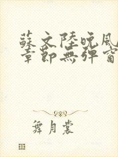 苏文陆晚风最新章节无弹窗笔趣阁