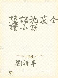 陆铭沈蕊全文阅读小说