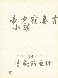 帝少宠妻有点甜 小说