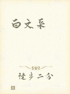 白文采
