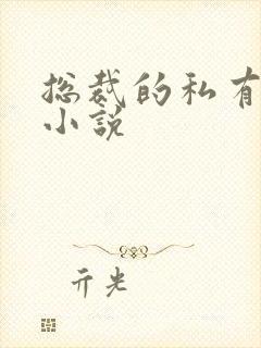 总裁的私有宝贝小说