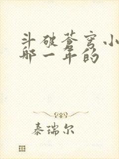 斗破苍穹小说是哪一年的