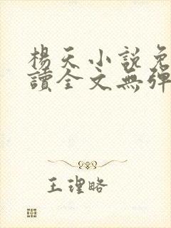 杨天小说免费阅读全文无弹窗封面