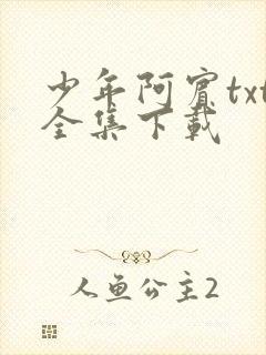 少年阿宾txt全集下载封面