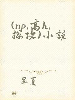 (np,高h,总攻)小说封面
