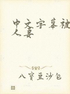 中文字幕被侵犯人妻