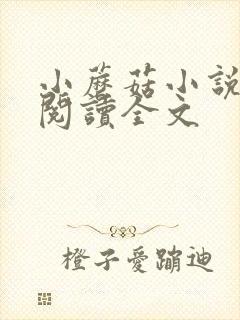 小蘑菇小说免费阅读全文