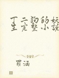 丁二狗的妖孽人生完整小说txt