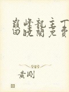 巅峰龙主丁长顺田晓兰免费阅读