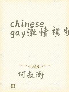 chinesegay激情视频