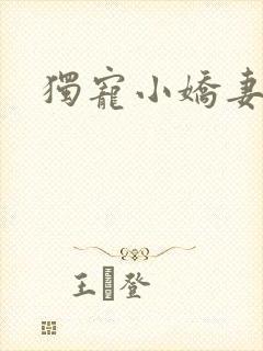 独宠小娇妻封面
