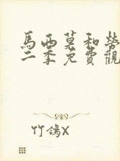 马西莫和劳拉第二季免费观看高清