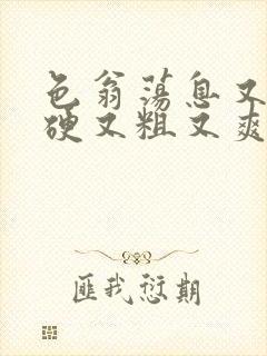 色翁荡息又大又硬又粗又爽