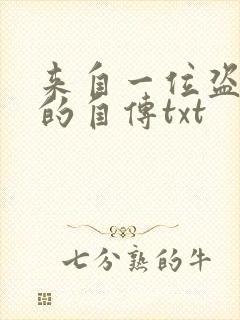 来自一位盗墓者的自传txt