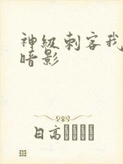 神级刺客我既是暗影