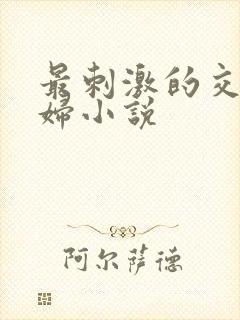 最刺激的交换夫妇小说封面