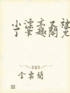 小漂亮又被欺负了笔趣阁免费阅读封面