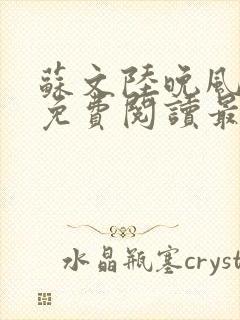 苏文陆晚风小说免费阅读最新章节封面