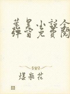 叶昊小说全文无弹窗免费阅读封面