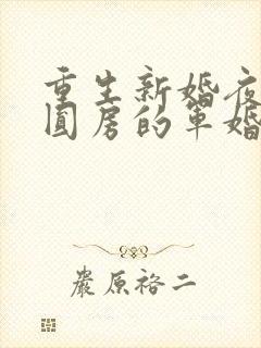 重生新婚夜正在圆房的军婚