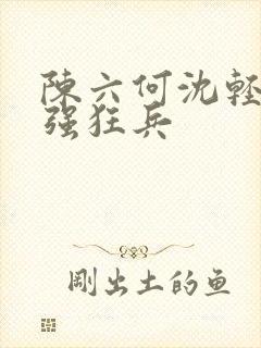 陈六何沈轻舞最强狂兵封面