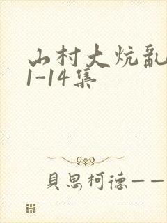 山村大炕乱肉续1-14集封面
