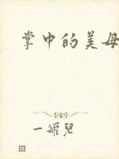 掌中的美母封面