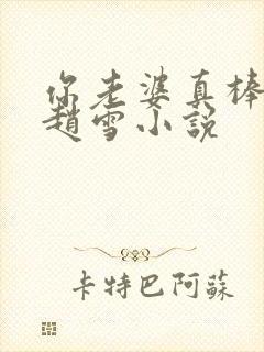 你老婆真棒张齐赵雪小说