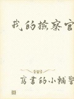 我的检察官先生