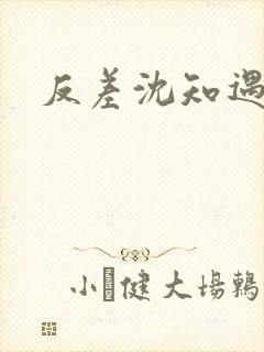 反差沈知遇晏应