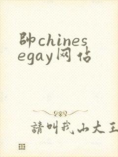 帅chinesegay网站