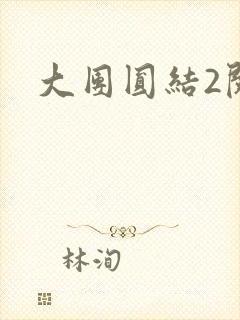 大团圆结2阅读封面