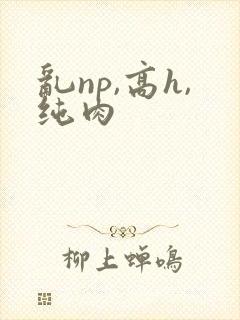 乱np,高h,纯肉