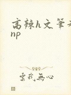 高辣h文笔趣阁np