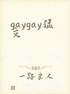 gaygay猛交封面
